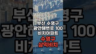 [최근 거래] 부산 수영구에서 가장 비싸게 팔린 아파트 TOP 1