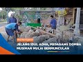 MAGETAN - Jelang Idul Adha, Pedagang Domba Musiman Mulai Bermunculan