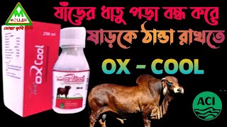 ষাঁড়ের উত্তেজনা কমানোর ঔষুধ অক্স কুল ভেট | Ox cool vet |গরুর রাগ কমানোর ঔষুধ | mollah krishi tv |