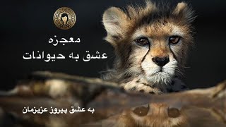 معجزه عشق به حیوانات - به عشق پیروز عزیزمان