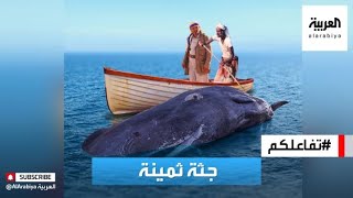 تفاعلكم | صياد يمني يعثر على ثروة بالملايين في أحشاء حوت!