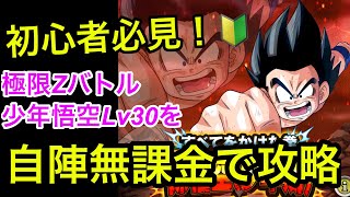 【ドッカンバトル】自陣無課金編成で極限Zバトル 少年悟空をらくらく攻略！【dokkan battle】