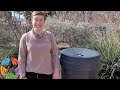 Importance of Rain Water Harvesting & Rain Barrel 101