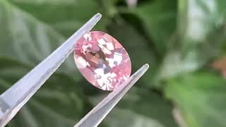 3.02 Carat Fairy Pink Morganite Gemstone