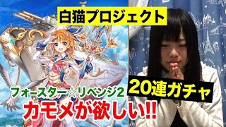 白猫プロジェクト カモメが欲しい フォースター☆リベンジ2　20連ガチャ！【うさまろ】