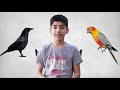 English Story For Kids | The Unhappy Crow | Moral Stories For Kids