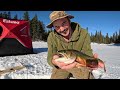 ice fishing for giant trout in a tiny mountain lake catch u0026 cook