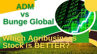 ADM vs. Bunge Global: Which Agribusiness Stock is BETTER?