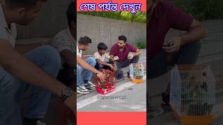 ছেলে দুটো এত টাকা দিয়ে পাখি গুলো কিনে কি করল 👍#fact_bangla #birds #humanity #shorts