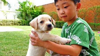 강아지 가족이 생겼어요~ 예준이의 애완 동물 키우기 애완용품 쇼핑 아기 강아지 목욕 시키기 어린이 동물 체험 일상 New Family Pet Puppy Dog
