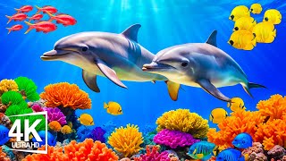 [NEW] Underwater 4K (ULTRA HD) - Noble Knights of the Ocean | Free Documentary Nature