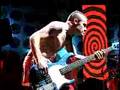 Red Hot Chili Peppers US Tour 2000 Sir Psycho