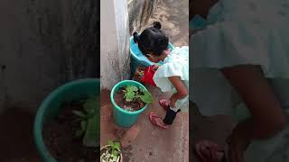 Little baby sanvi watering plants 🌵#କଣ ସବୁ ଗଛ ଲଗେଇଛୁ ଆମେ#sandigdhavlogs