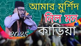 আমার মুর্শিদ নিল মন কাড়িয়া 2025 মাওঃ হামিদুলইসলাম হেলালী