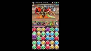 【パズドラ】 チャレンジダンジョン！33 Lv9 [回復なし] 月下の愛猫神のアーマー・エースPT