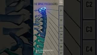 C1 The Spine Frequency Series C1 128.43 Hz