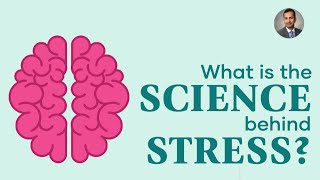 Stress And The Science Behind It | And How To Manage It