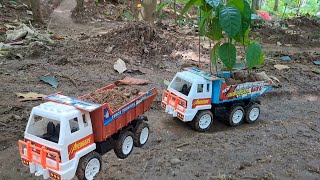 Mobil Truk Project Muatan Tanah Dan Bibit Pohon Mahagoni Untuk Penanaman Hutan Gundul Kalimantan