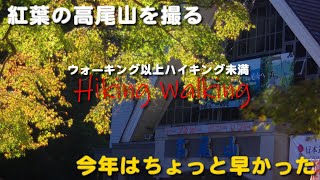 【ウォーキング以上ハイキング未満】ハイキングウォーキング【紅葉の高尾山を撮る】