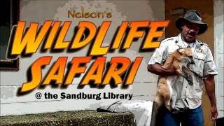 Wildlife Safari at the Livonia Public Library