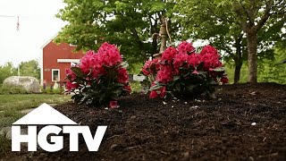 All About Azaleas | Gardening Tips | HGTV