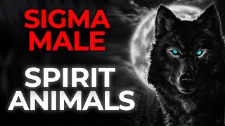 Sigma Male Spirit Animals | What Represents the Sigma Males