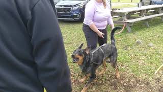 ARC Beaucerons - J.R