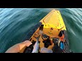 insane striper bluefish feeding frenzy topwater blowups kayak fishing rhode island