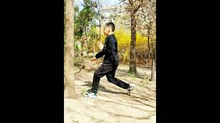 小朋友练习心意六合拳虎抱头Xinyi martial arts tiger form by kid #chinese #kungfu #maritalarts