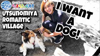 うつのみや ろまんちっく村 Utsunomiya Romantic Village Animals and Local Market | Living in Japan