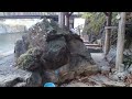 【これぞ秘湯】　那須塩原　岩の湯　2014.11月