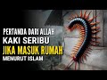 MENGERIKAN !! Ini Pertanda Besar Jika Kaki Seribu Masuk Ke Rumah Anda Menurut Islam