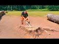 An Interesting Way to get rid of a Huge Tree Stump - Cut, Dig and Burn