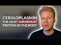 Ceruloplasmin Explained & How To Increase Low Levels