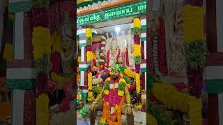 ஸ்ரீ மயிலாடும் பாறை சுடலை ஆண்டவர் 🌺🙏#தங்கராஜ் #மகுட #சுடலை_மாடன்