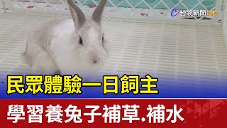 民眾體驗一日飼主 學習養兔子補草.補水