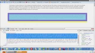 Firebug 3/7