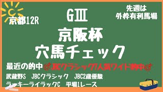 🌠京阪杯穴馬チェック🌠🔍人気薄の好走はあるのか⁉️京都適性と枠順大事に…