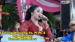 Dewi Mayang (Mudho Laras) - Ladrang Wilujeng Lrs. Pelog Patet 5 || Ora Nglindur || Tandha Mata Kacu