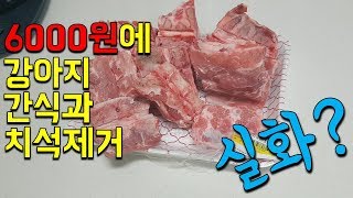 저렴하게 강아지 간식 만드는 방법과 강아지들의 반응은? - 신나개