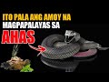 ITO PALA ANG AMOY NA MAGPAPALAYAS SA AHAS