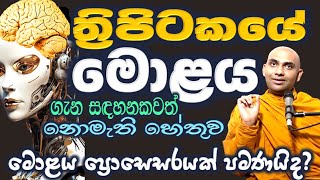 පඨවිය යනු දැනෙන ස්වභාවය මිස බාහිරයේ ඇති දෙයක් නොවේ, ත්‍රිපිටකයේ මොළය ගැන සඳහනක් නැති හේතුව මේකයි