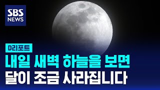 내일 새벽 4시 34분 '부분 월식' 달 귀퉁이 사라져 / SBS / #D리포트