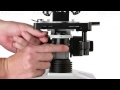 AmScope Darkfield Microscopy Tutorial - DK-DRY100, DK-OIL100 on T490 Compound Microscope