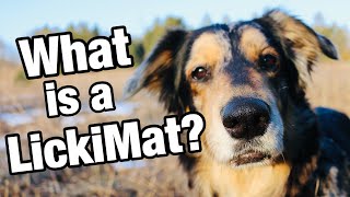 What's a LickiMat? Calm Down Your Dog with Slow Feed Food Puzzle. Calming for Dogs