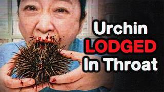 the Most Disturbing Things on the Asian Internet [Vol. 3] Iceberg