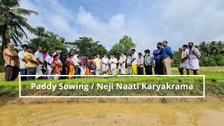 Inauguration Paddy Sowing / ನೇಜಿನಾಟಿ ಕಾರ್ಯಕ್ರಮ ಉದ್ಘಾಟನೆ : By Sri Sanjeeva Matandoor at Nanya Puttur.