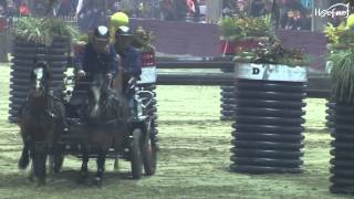 2 span ponies Menindoor Nijkerk 2013-Jurjan Reijenga,Danielle van der Vlis,Cas Hendriks.