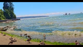 4K Third Beach  Ferguson Point  Stanley Park Vancouver CANADAサードビーチファーガソン ポイントサード ビーチスタンレー パークバンクーバー