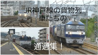 JR神戸線の貨物列車の通過集！(EF210 EF65 EF66)